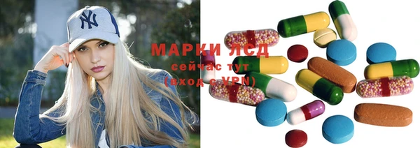 ПСИЛОЦИБИНОВЫЕ ГРИБЫ Арсеньев